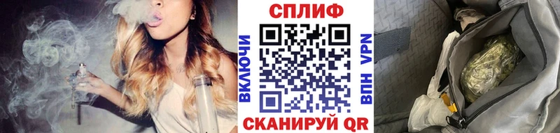 Шишки марихуана марихуана где купить сайты даркнета какой сайт Кудрово MEGA зеркало